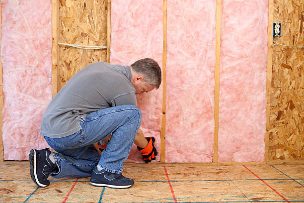 Best Residential Insulation in Essex, IL
